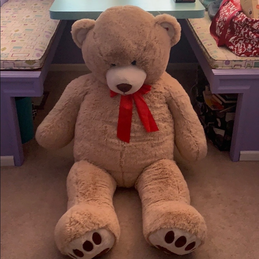 Teddy Bear